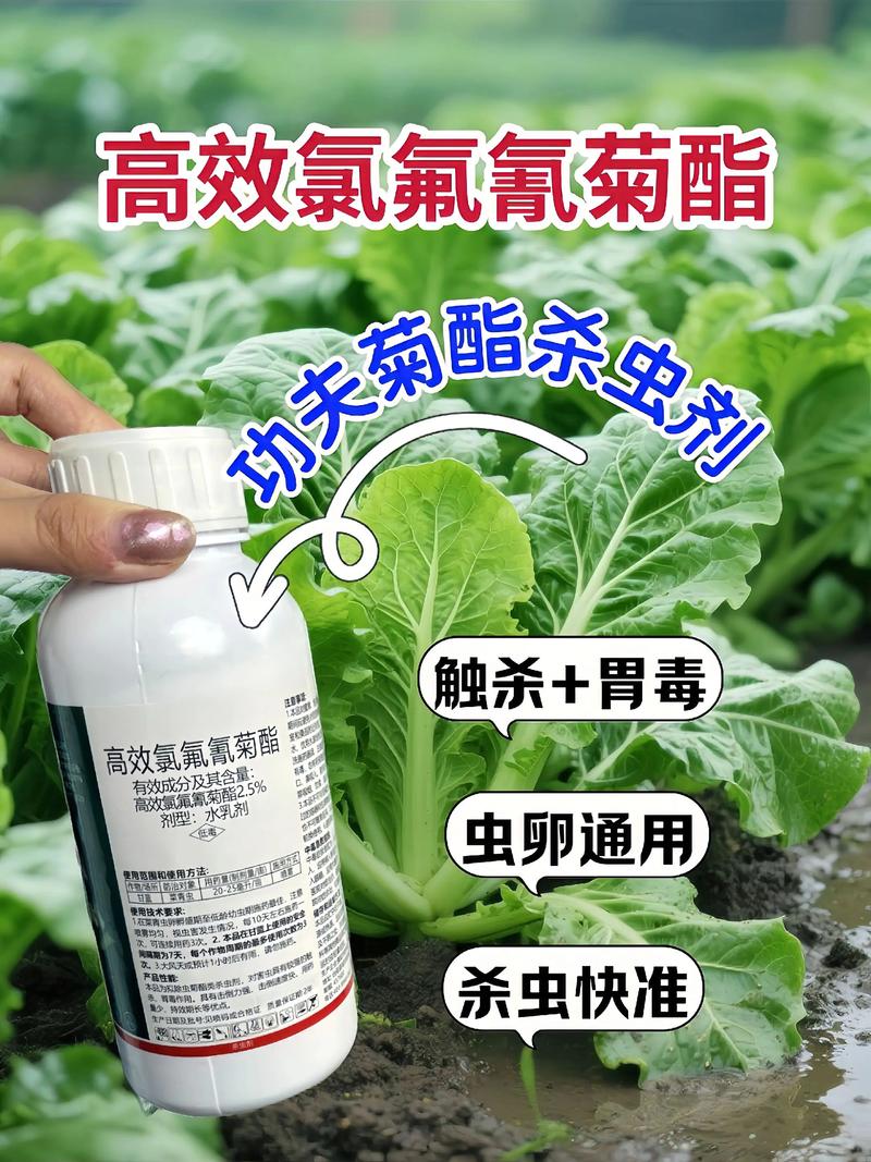 宝鸡代生中心:农药对供卵代生妈妈的危害